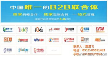 蘇州網絡推廣費用解析 基于技術推廣服務的成本構成與選擇策略